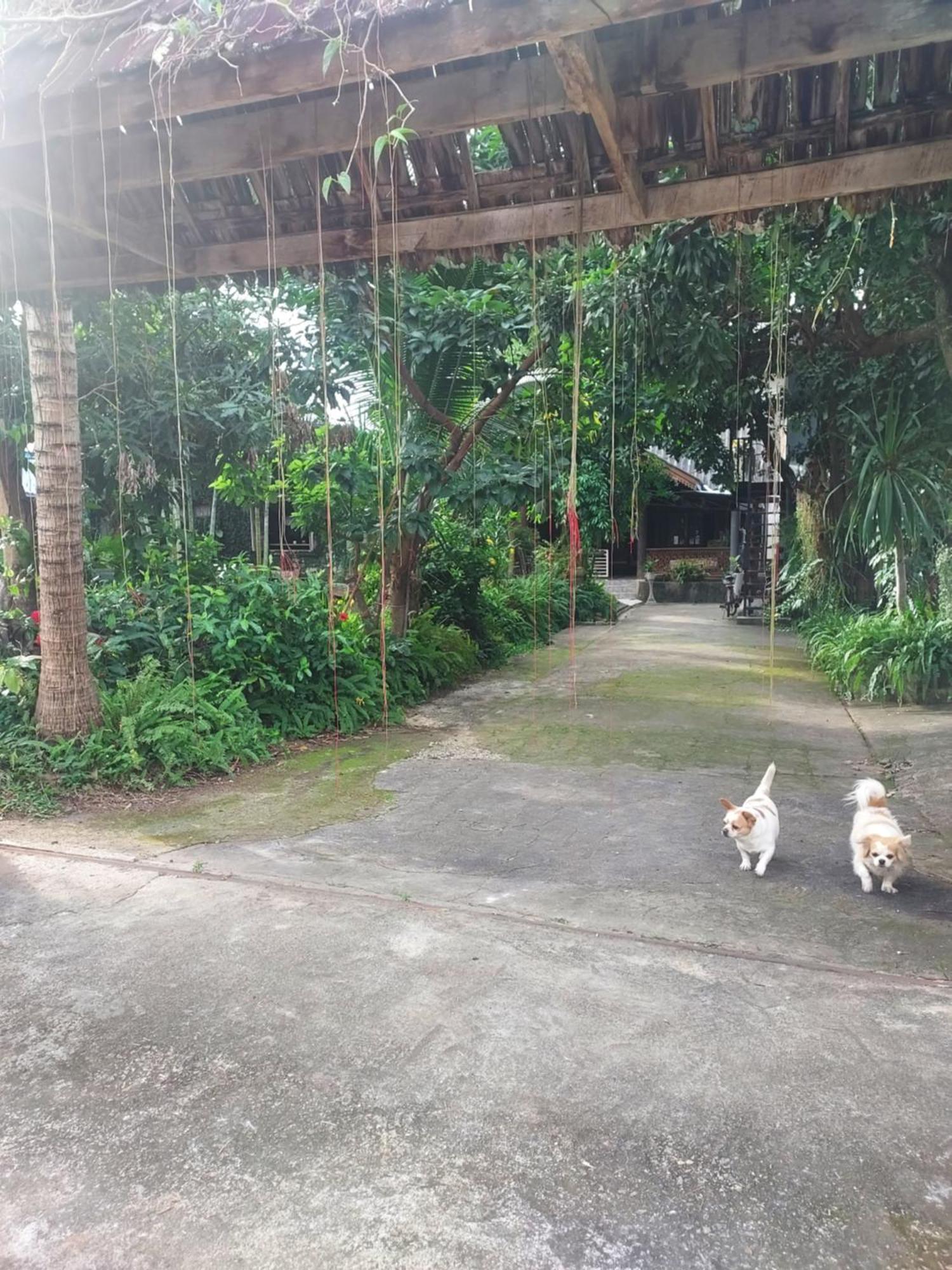Kwanlah Homestay Mae Chaem Exterior photo
